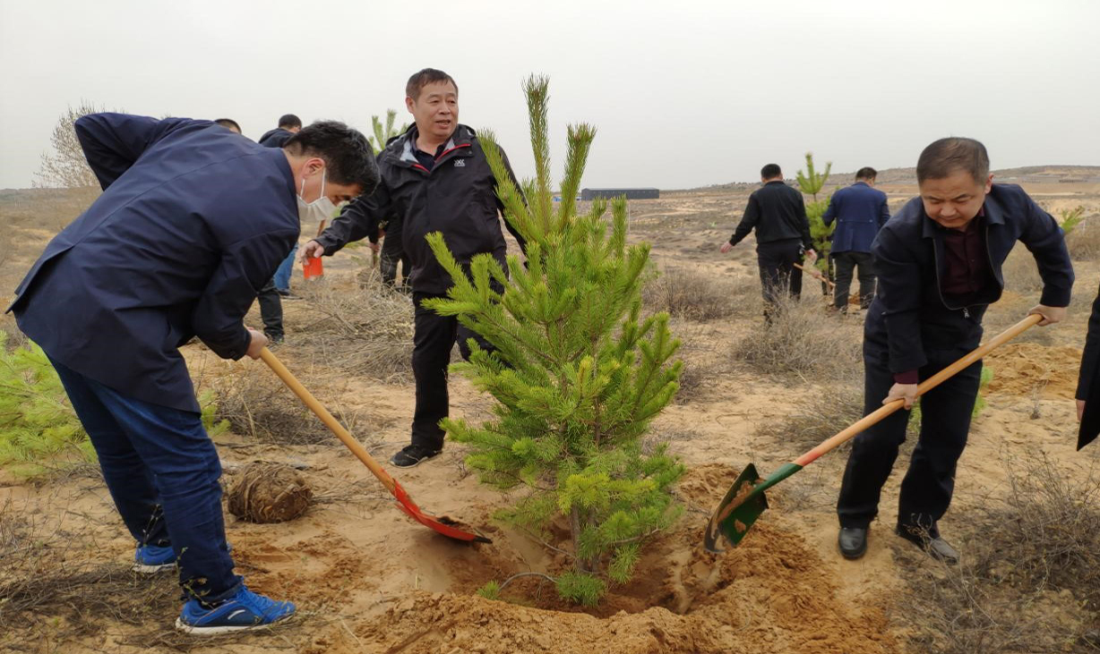 横山植树.jpg 横山植树.jpg